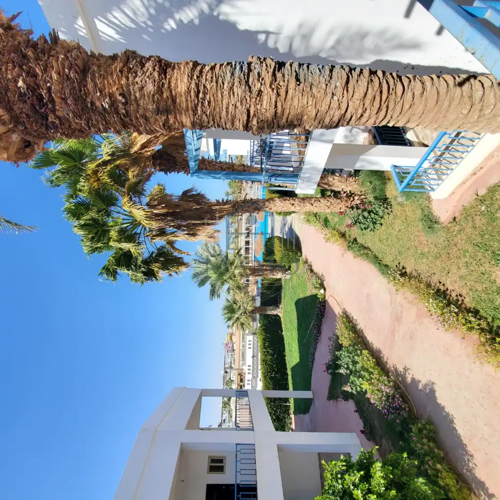 Beachfront holiday apartment with palm trees and garden in Hurghada, Egypt, perfect for relaxing vac.