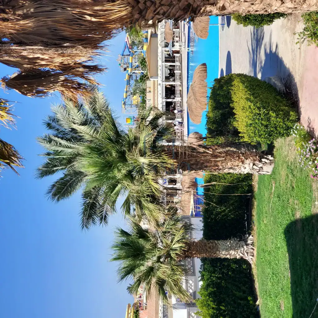 Palm trees and pool at a beach resort in Hurghada, Egypt.