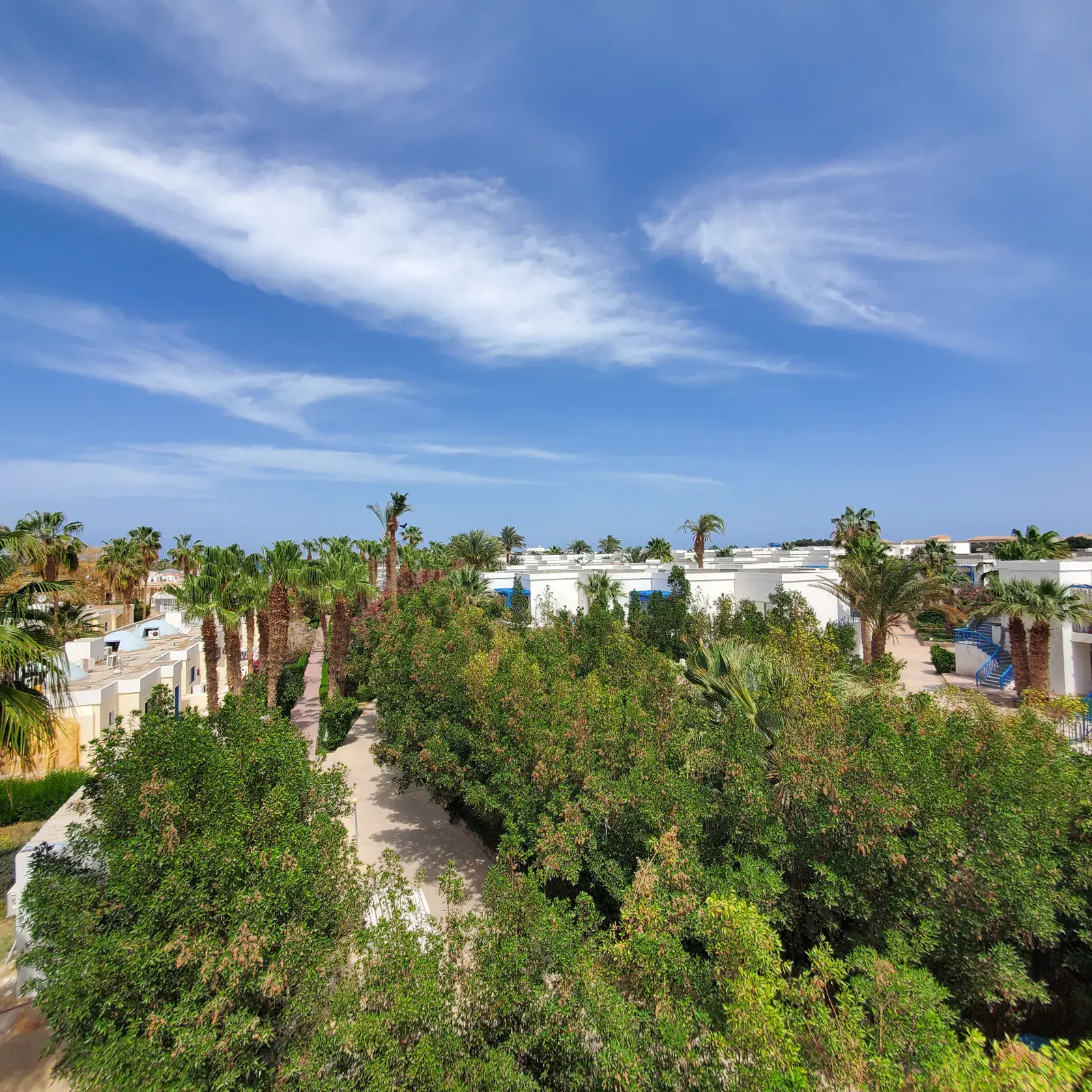 View of a holiday apartment complex with lush greenery and blue sky for rent in Hurghada.